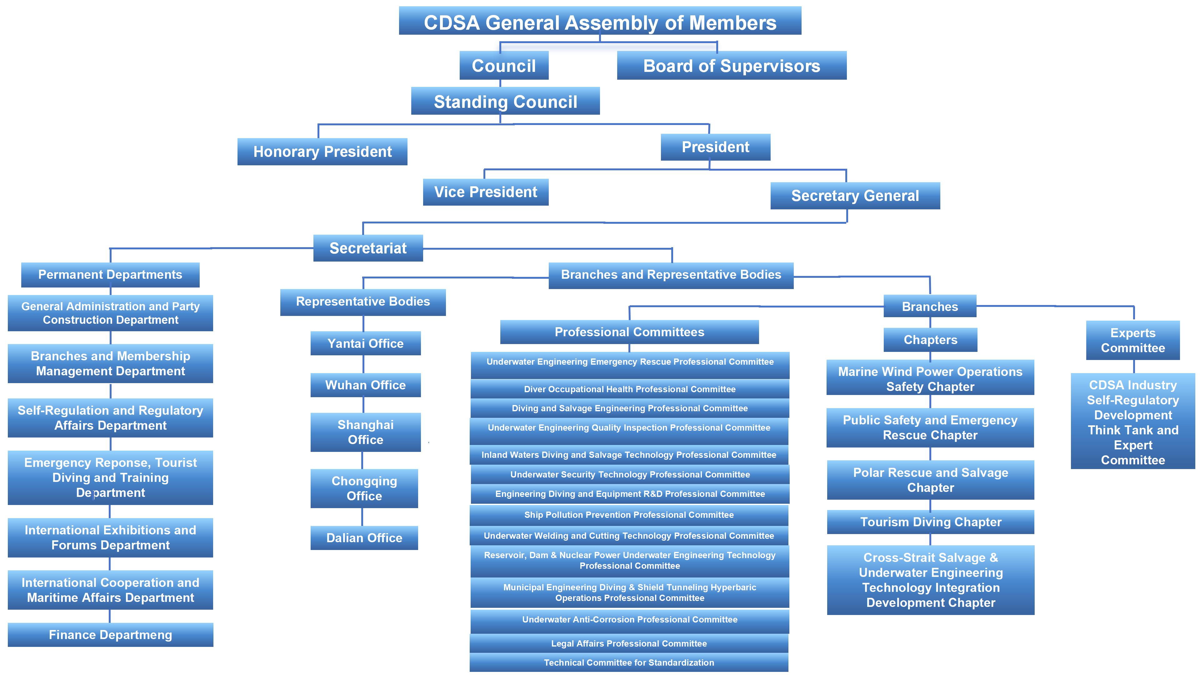 Organization Structure of CDSA（2026).jpg